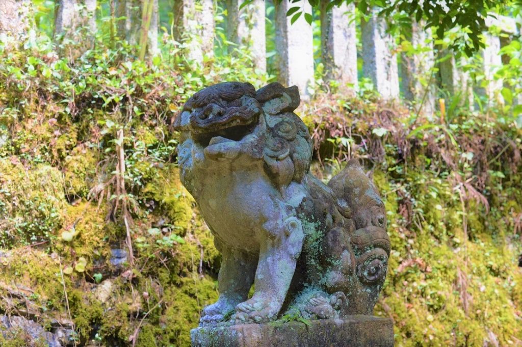 阿賀多神社の狛犬