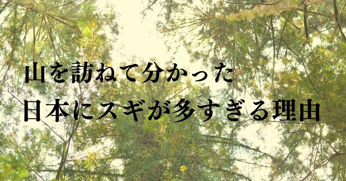 日本はなぜ杉が多い？